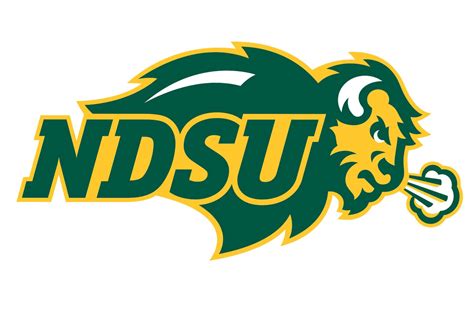 North Dakota State Bison Helmet - North Dakota State Football Helmet ...