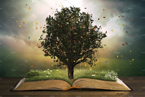 Tree growing on an open Bible | School & Education Stock Photos ~ Creative Market