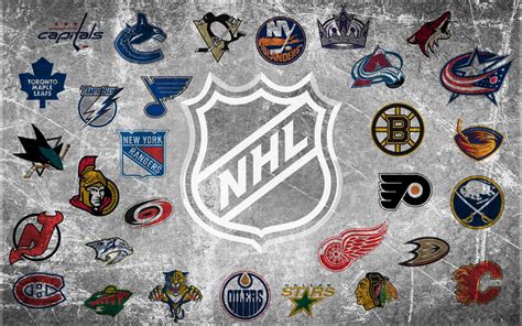 Hockey is Finally Back! Here are Five Ways that it can Become One of America’s Favorite Sports ...