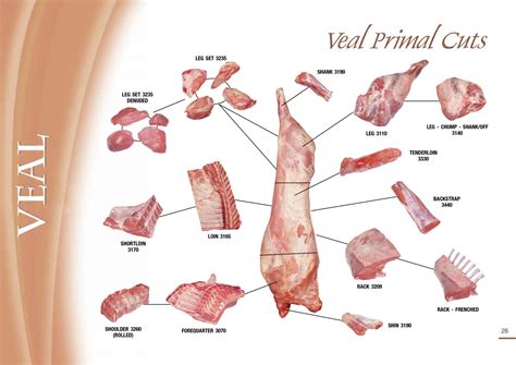 Veal – MIDLEVEL