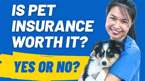 Is Pet Insurance Worth It? 5 Shocking Stats You Should Know... - HoundGames