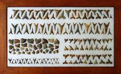 fossilized shark teeth - I like the patterns they created. w/b good in a mosaic/stepping stone ...