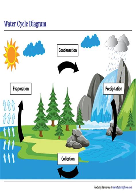 Printable Water Cycle Diagram