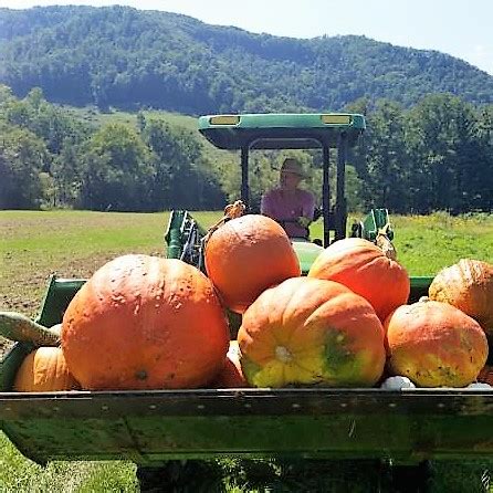 Cranberry Forest Farm Campground - Webster County Tourism