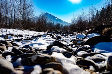 Premium Photo | Schweizer alpen