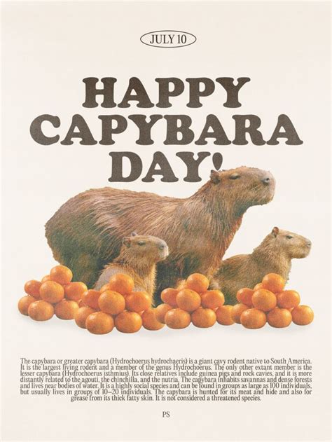 Happy Capybara Day Poster