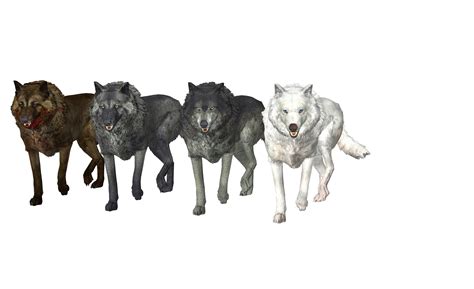 TW3 Wolves pack mmd xps by Tokami-Fuko on DeviantArt