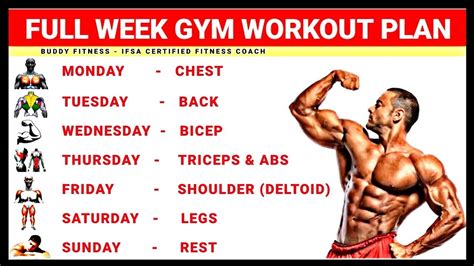 Full Week Gym Workout Plan | Week Schedule For Gym Workout | Buddy ...