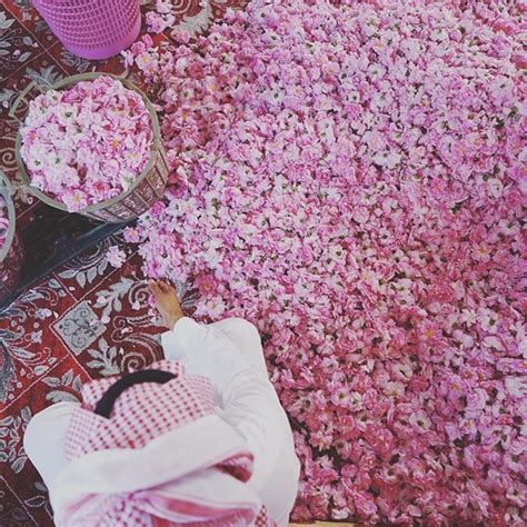 Taif: The City of Roses | Ithra