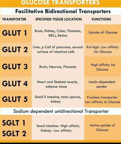 Gluts - MEDizzy