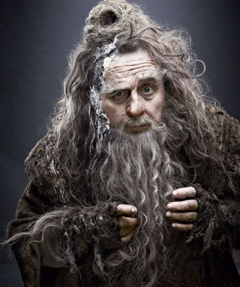 Sylvester McCoy | The Hobbit | Radagast the Brown | The hobbit ...