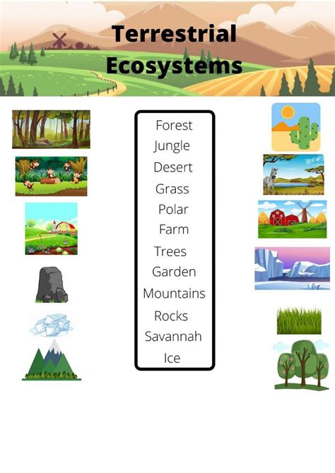 Levels of Ecological Organization Worksheets - Free Printable - Worksheets Library