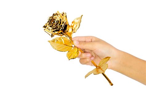 Buy Gold Plated Roses | 24k Gold Roses | KITCO