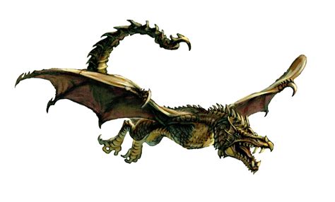 Wyvern - Mythical creatures Photo (28643255) - Fanpop