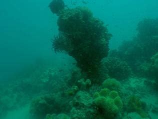 Convict shipwreck may have been found in Torres Straits | The Cairns Post