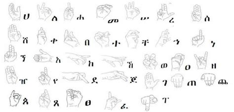 Amharic Sign Language Recognition based on Amharic Alphabet Signs | Semantic Scholar