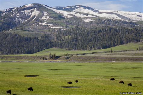 Map Of Hayden Valley Yellowstone National Park : Yellowstone National ...