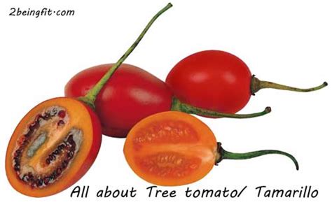 Tree tomato/ tamarillo- nutrition, proven health benefits and uses ...