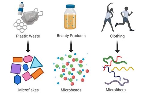 The Microplastics Crisis–You are the first responder - Science in the News