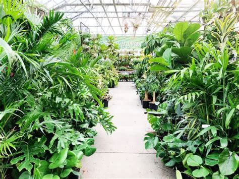 10 Great Plant Nurseries & Garden Centers In Tulsa - Discover Tulsa