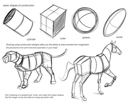 Concept Design Academy: "Animal Anatomy" with Jonathan Kuo~!!