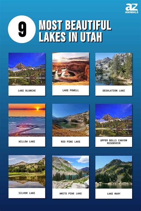 The 9 Most Beautiful Mountain Lakes In Utah - A-Z Animals