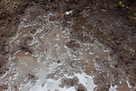 Free photo: Muddy Soil - Earth, Freetexturefrida, Ground - Free Download - Jooinn