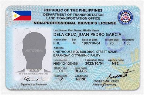 Tech-related concerns raised as LTO announces digital driver's license ...