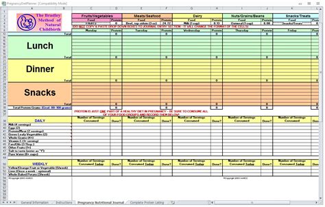 Pregnancy Diet Spreadsheet | Pregnancy Diet Template