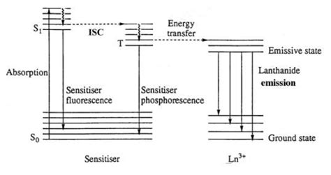 7: Schematic representation of the "antenna effect" involving distinct... | Download Scientific ...