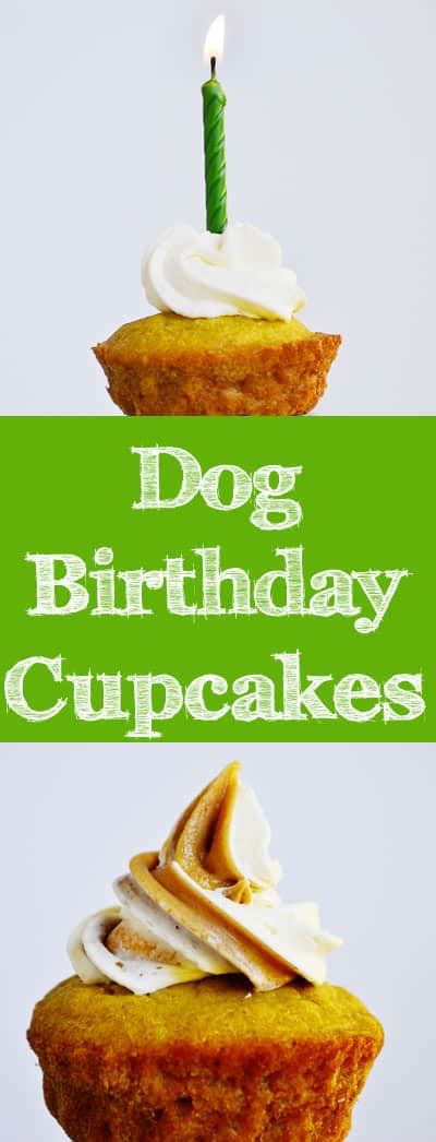 Dog Birthday Cupcakes Recipe! Dog Birthday Cupcakes Recipe