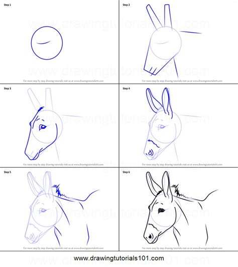 How to Draw a Donkey Face printable step by step drawing sheet : DrawingTutorials101.com ...