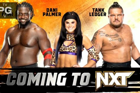 Oba Femi, Dani Palmer, And Tank Ledger Coming Soon To WWE NXT | Fightful News