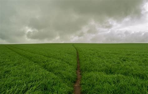 Wallpaper field, clouds, green, green, storm, storm, field, clouds ...