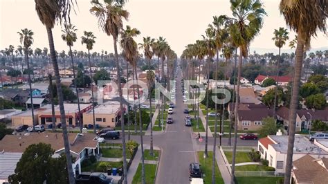 Monumentális Kellemetlen triathlete los angeles ghetto areas növekedés ...