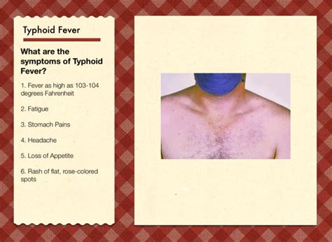 Typhoid Fever and Salmonella - Screen 3 on FlowVella - Presentation ...