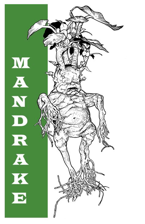 HARRY POTTER: MANDRAKE by Jerome-K-Moore on DeviantArt