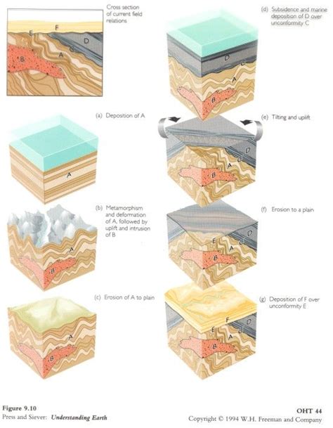 Geologic Dating/Time Diagrams | Time diagram, Earth science lessons ...