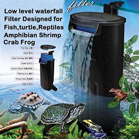 Best Water Filter For Turtle Aquarium 2024 - Takashi NYC