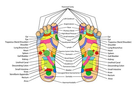 THE KEY OF YOUR BODY STANDS RIGHT UNDER YOUR FEET: REFLEXOLOGY - Spa Malaysia - Baliayu Spa ...