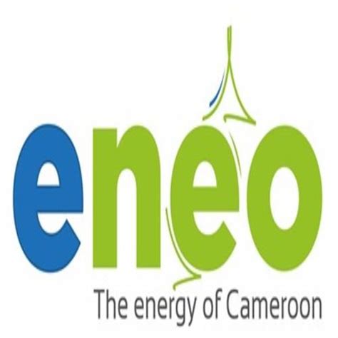 ENEO Cameroon Subcontractors Announce Two-week Strike Over Billions Of ...