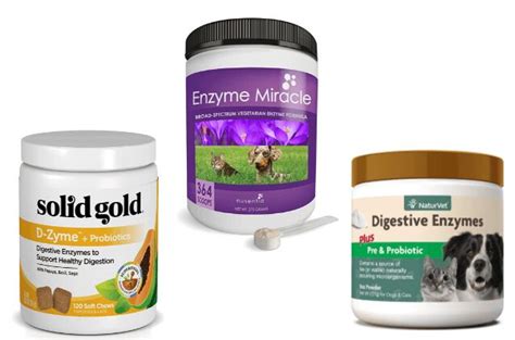 Best Dog Digestive Enzymes | PetGuide