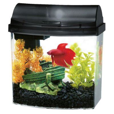 Fish Tanks for Kids and Adults - Christmas Gifts for Everyone