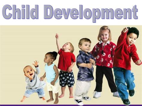 PPT - Child Development PowerPoint Presentation, free download - ID:519397