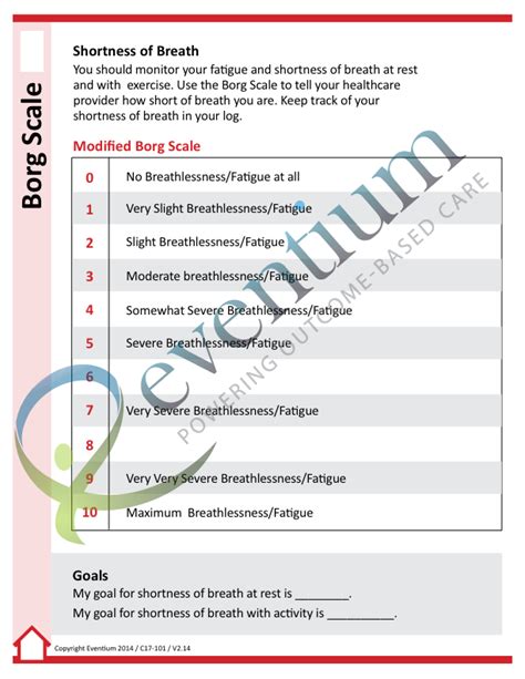 Borg Scale - Eventium