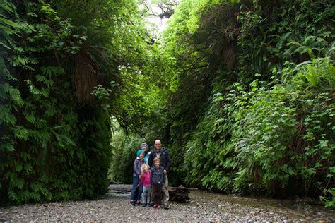 Redwood National park