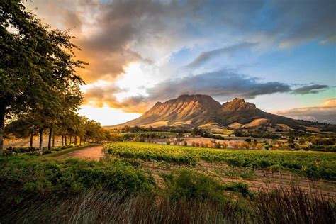 Try These 7 Wine Experiences in South Africa's Stellenbosch Region ...