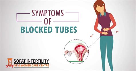 Blocked Fallopian Tubes- Causes, Symptoms, Diagnosis And Treatment - Dr ...