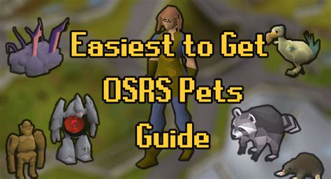 7 Easiest Pets To Get On OSRS | Probemas