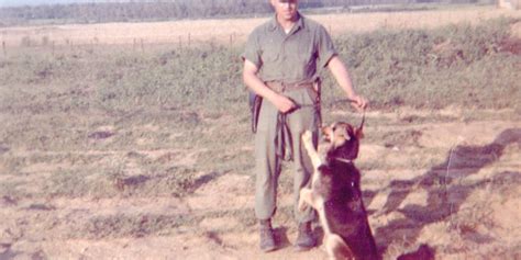 VIETNAM VET HELPS WAR DOGS IN MEMORY OF THE ONE HE HAD TO LEAVE BEHIND ...